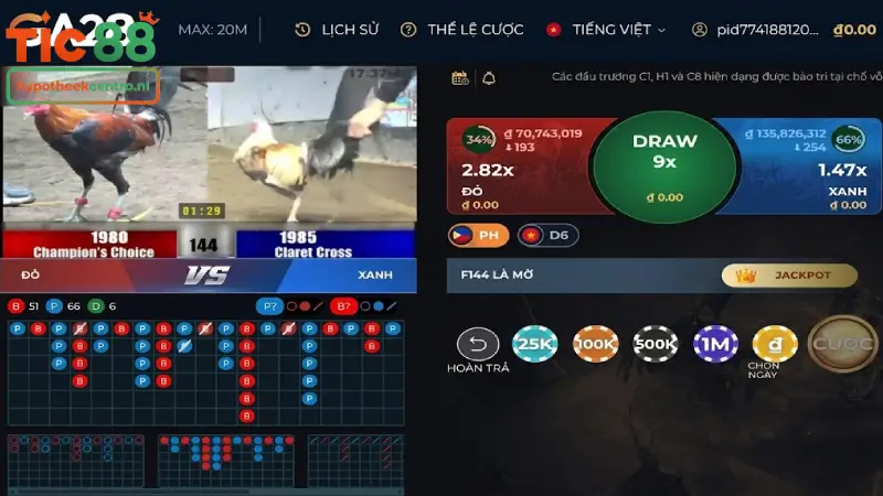 Quy trình 4 bước tham gia cá cược Đá gà TIC88 cho tân thủ
